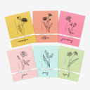  12 Birth Flower Note Cards + Envelopes | Floral Birthday Card Pack