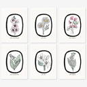  6 Birth Flower Cards 5X7" + Envelopes | Pick Your Pack