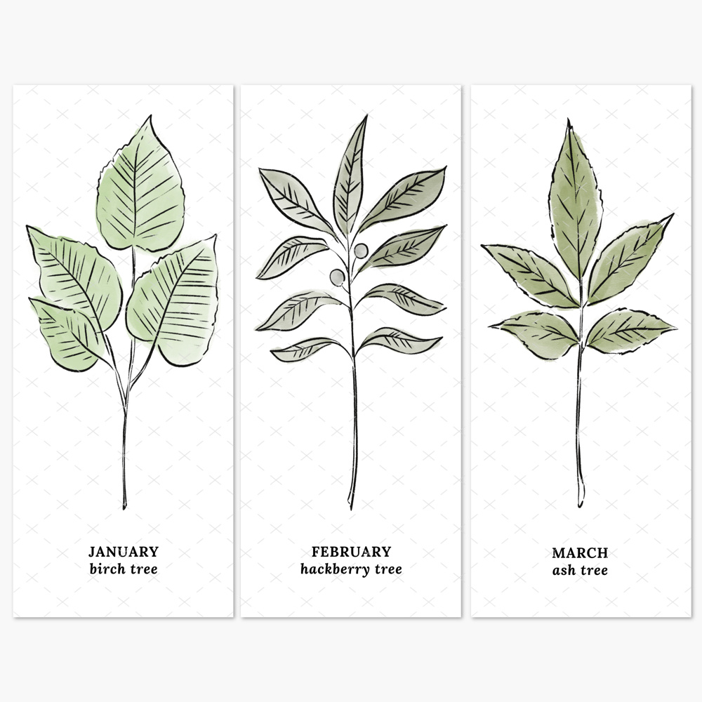 Personalized Birth Family Tree Art Print | Up to 6 Names 