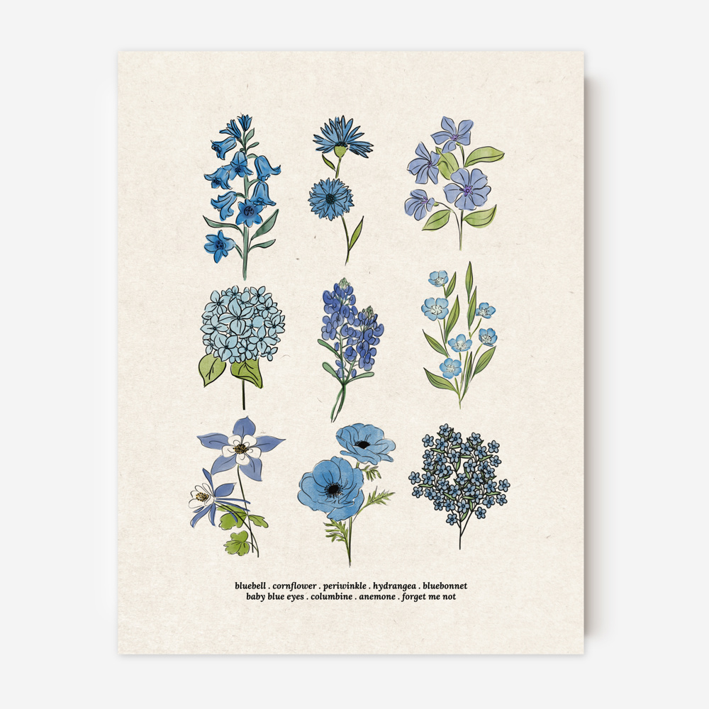 Flower Chart Art Prints | Unframed Floral Illustrations