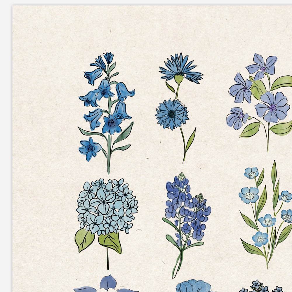 Flower Chart Art Prints | Unframed Floral Illustrations