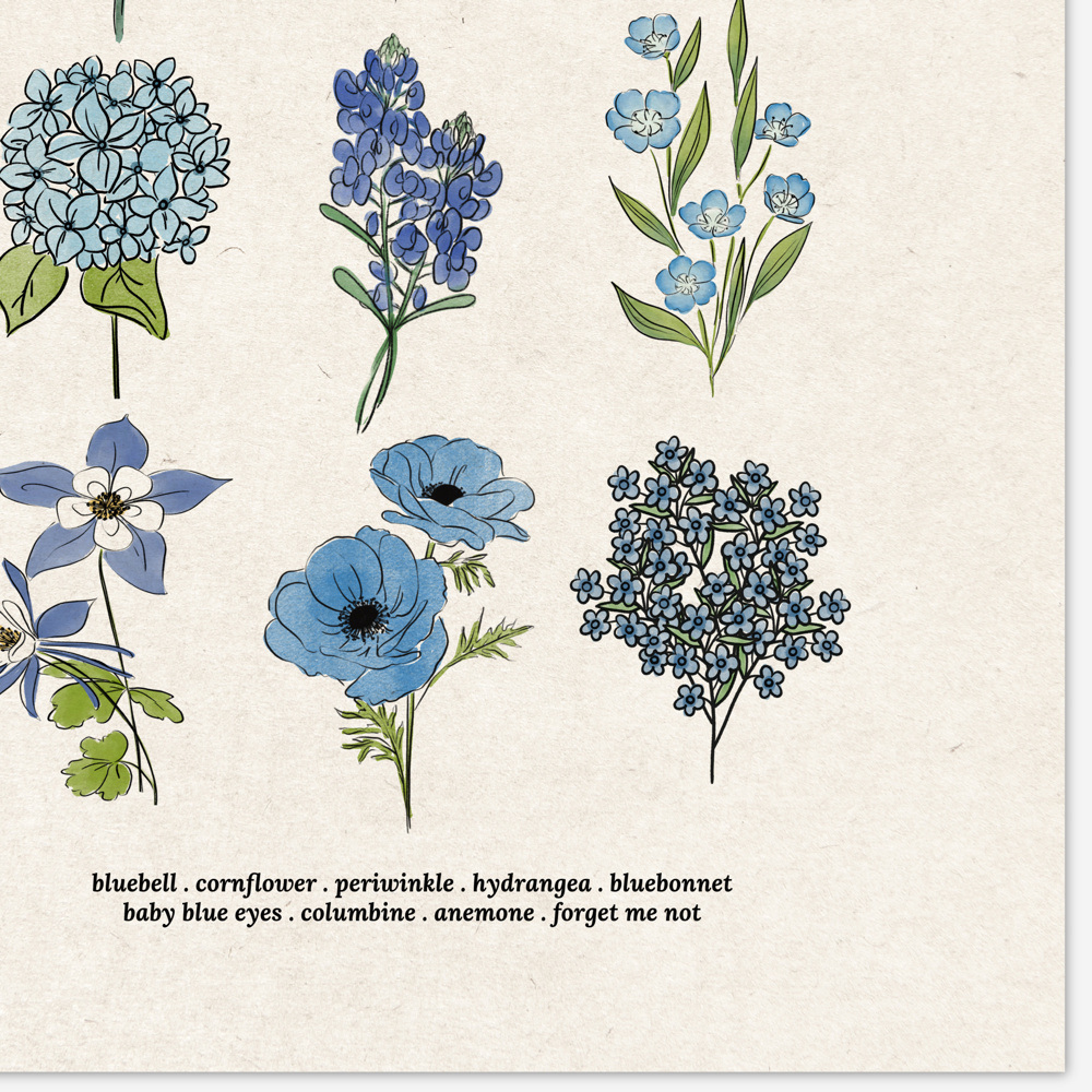 Flower Chart Art Prints | Unframed Floral Illustrations