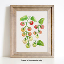  Cherry Tomato Vine Watercolor Paint Kit | All In One Art Set 