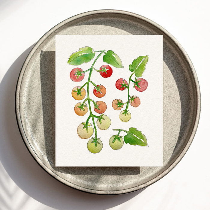 Cherry Tomato Vine Watercolor Paint Kit | All In One Art Set 