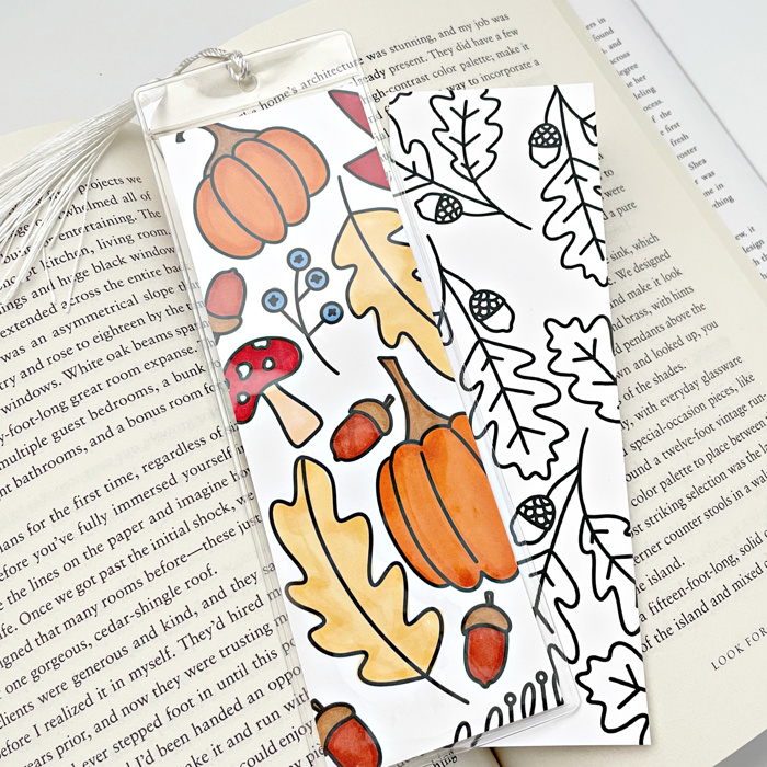 8 Pk Fall Coloring Bookmarks + 2 Protective Vinyl Sleeves with Tassels 