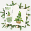  Christmas Watercolor Kit | Pre-Sketched Holiday Art Set