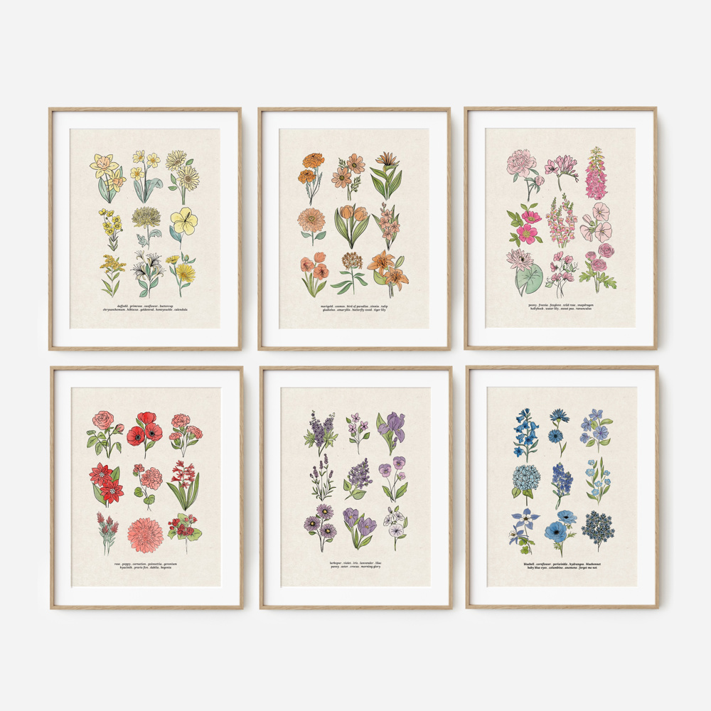 Flower Chart Art Prints | Unframed Floral Illustrations