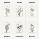  3 Pk All In One Watercolor Paint Kit | 8X10" Floral Outline 45 Options