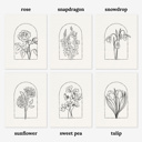  3 Pk All In One Watercolor Paint Kit | 8X10" Floral Outline 45 Options