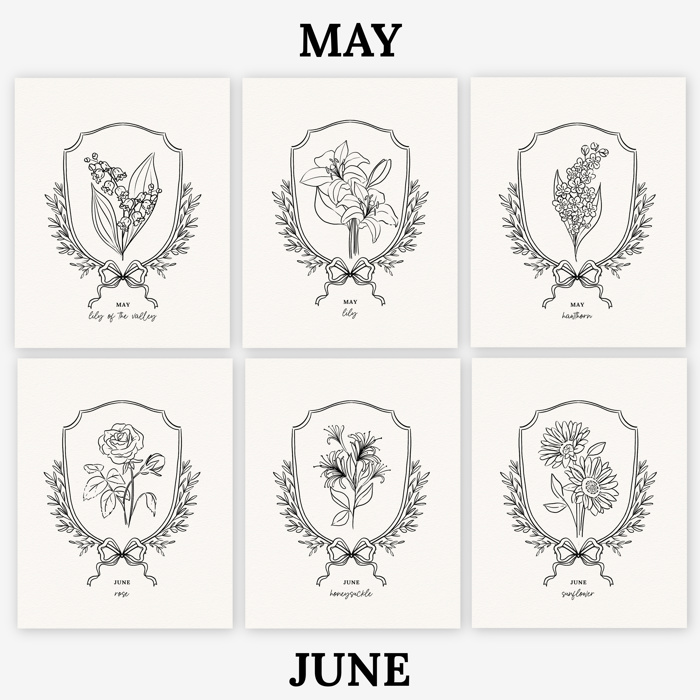 Birth Flower Watercolor Paint Kit | Just Add Water 