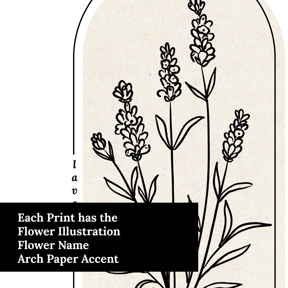 Hand Illustrated Floral Prints | 42 Flower Options