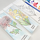  3 PK Birth Flower Bookmark Watercolor Paint Kit | Floral Outline, Brush, Palette with Vinyl Sleeves