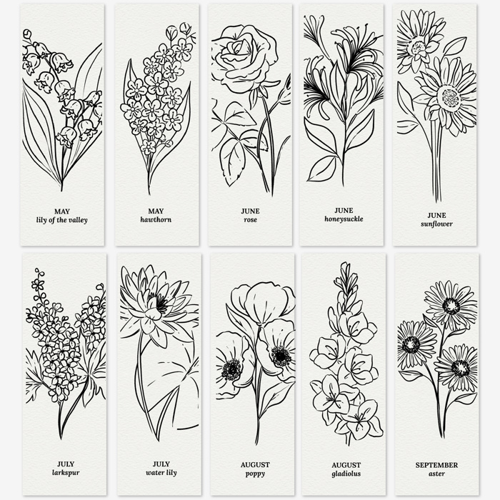 3 PK Birth Flower Bookmark Watercolor Paint Kit | Floral Outline, Brush, Palette with Vinyl Sleeves