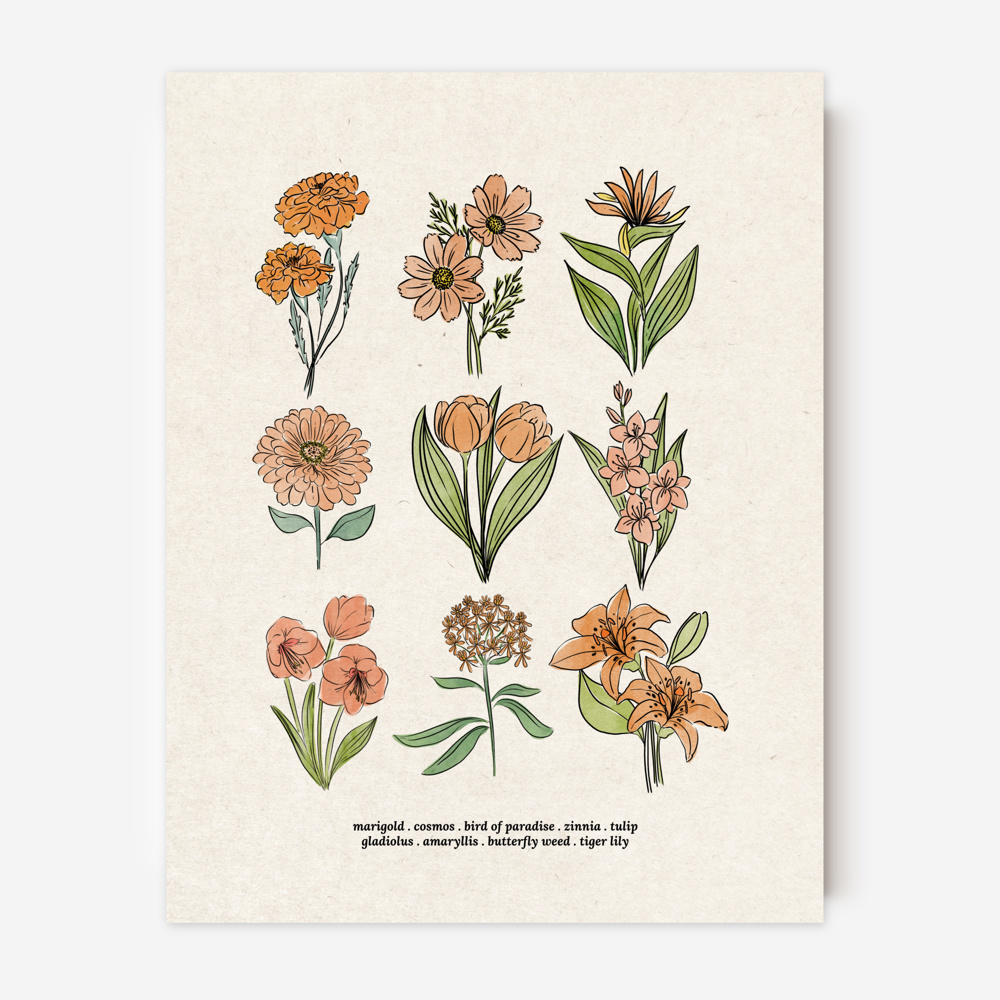 Flower Chart Art Prints | Unframed Floral Illustrations