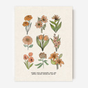  Flower Chart Art Prints | Unframed Floral Illustrations