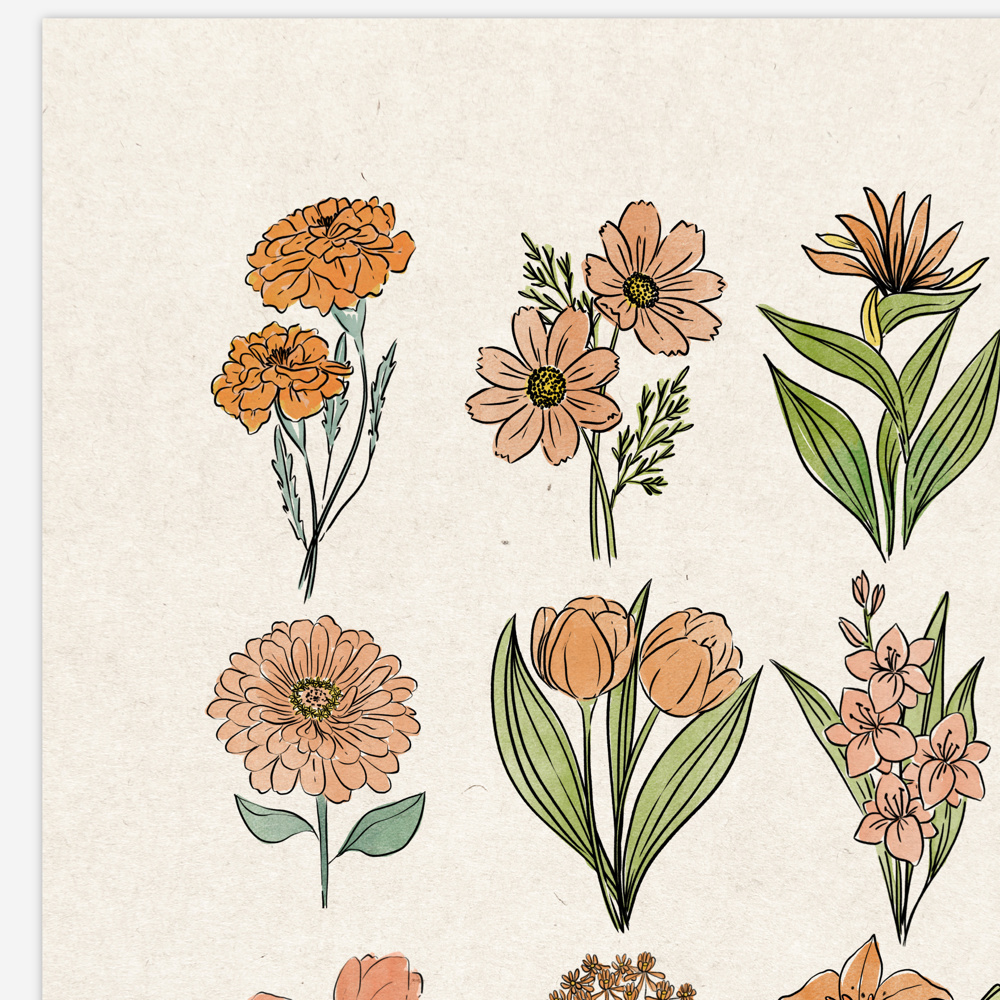 Flower Chart Art Prints | Unframed Floral Illustrations