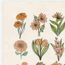  Flower Chart Art Prints | Unframed Floral Illustrations