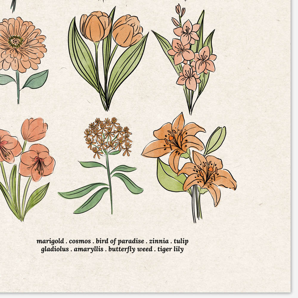 Flower Chart Art Prints | Unframed Floral Illustrations