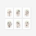  Hand Illustrated Floral Prints | 42 Flower Options