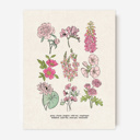  Flower Chart Art Prints | Unframed Floral Illustrations