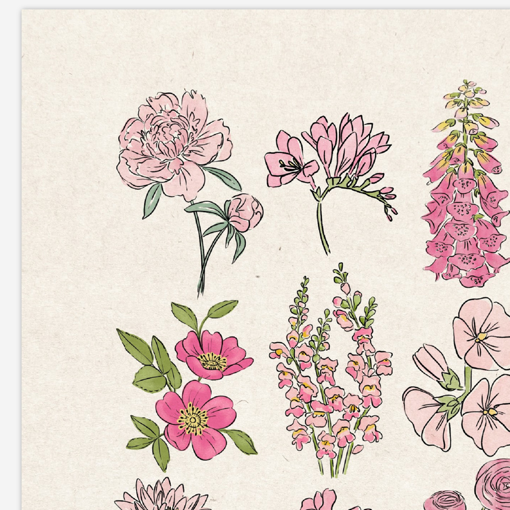 Flower Chart Art Prints | Unframed Floral Illustrations