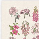  Flower Chart Art Prints | Unframed Floral Illustrations