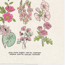  Flower Chart Art Prints | Unframed Floral Illustrations