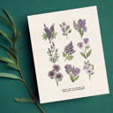  Flower Chart Art Prints | Unframed Floral Illustrations