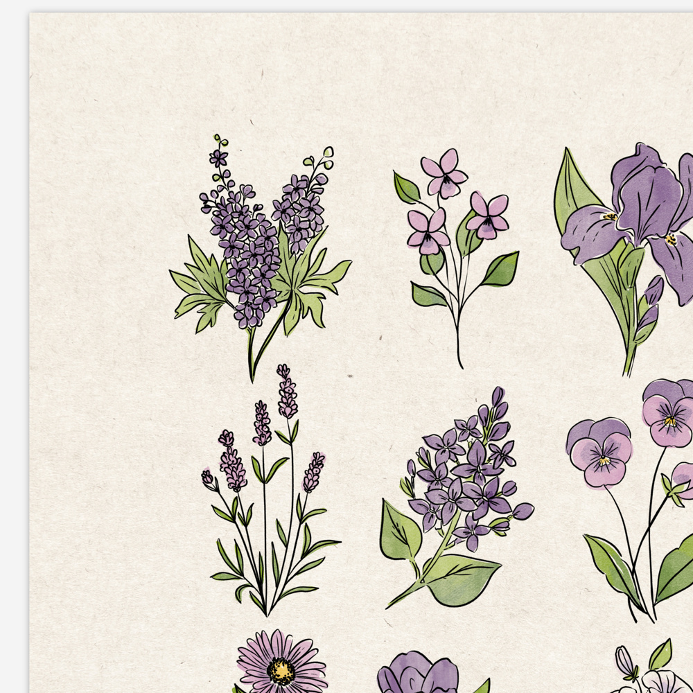 Flower Chart Art Prints | Unframed Floral Illustrations