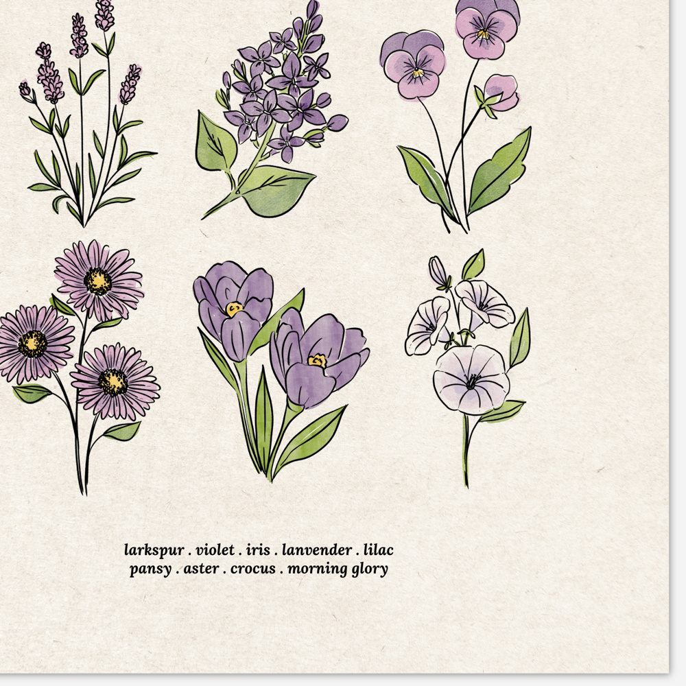 Flower Chart Art Prints | Unframed Floral Illustrations