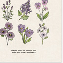  Flower Chart Art Prints | Unframed Floral Illustrations