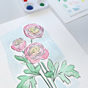  Ranunculus Watercolor Paint Kit | Just Add Water Pre-Sketched Art Set Gift