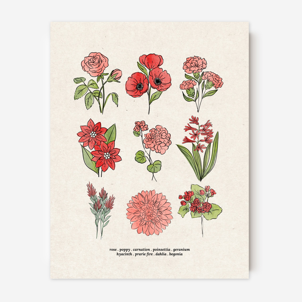 Flower Chart Art Prints | Unframed Floral Illustrations