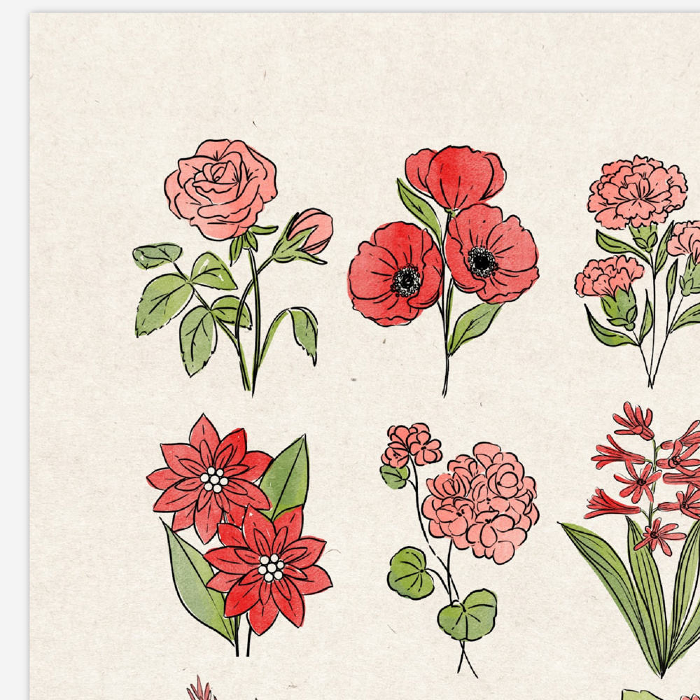 Flower Chart Art Prints | Unframed Floral Illustrations