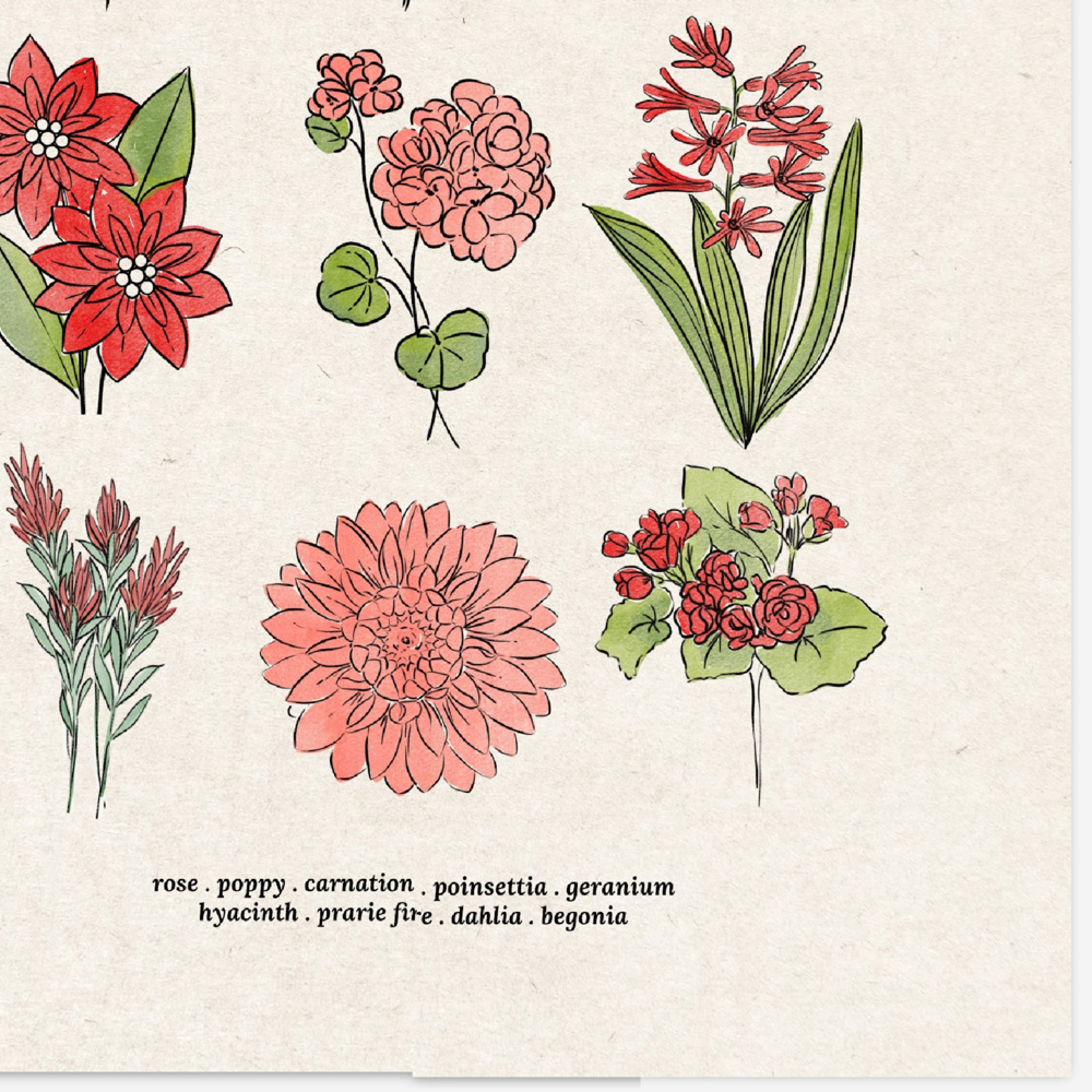 Flower Chart Art Prints | Unframed Floral Illustrations