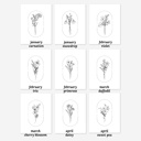  BOGO Birth Flower Simple Line Art Print | 27 Options