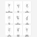  BOGO Birth Flower Simple Line Art Print | 27 Options