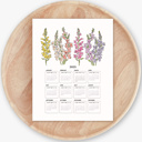  2025 At A Glance Calendar Prints | 12 Floral Options