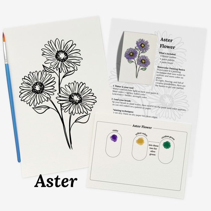 Set of 4 Watercolor Paint Kits | Floral Sketches, Brushes & Palettes | 12 Flower Options