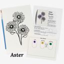  Set of 4 Watercolor Paint Kits | Floral Sketches, Brushes & Palettes | 12 Flower Options