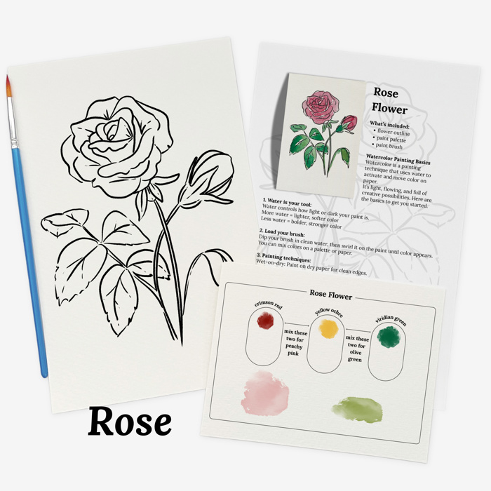 Set of 4 Watercolor Paint Kits | Floral Sketches, Brushes & Palettes | 12 Flower Options
