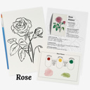  Set of 4 Watercolor Paint Kits | Floral Sketches, Brushes & Palettes | 12 Flower Options