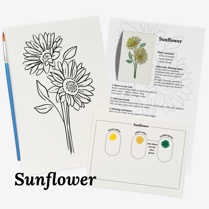 Set of 4 Watercolor Paint Kits | Floral Sketches, Brushes & Palettes | 12 Flower Options