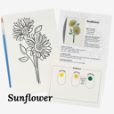  Set of 4 Watercolor Paint Kits | Floral Sketches, Brushes & Palettes | 12 Flower Options