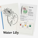  Set of 4 Watercolor Paint Kits | Floral Sketches, Brushes & Palettes | 12 Flower Options