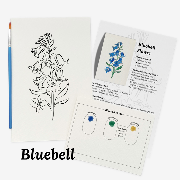 Set of 4 Watercolor Paint Kits | Floral Sketches, Brushes & Palettes | 12 Flower Options