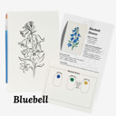  Set of 4 Watercolor Paint Kits | Floral Sketches, Brushes & Palettes | 12 Flower Options