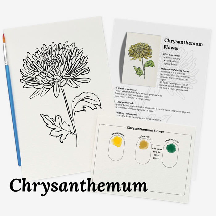 Set of 4 Watercolor Paint Kits | Floral Sketches, Brushes & Palettes | 12 Flower Options