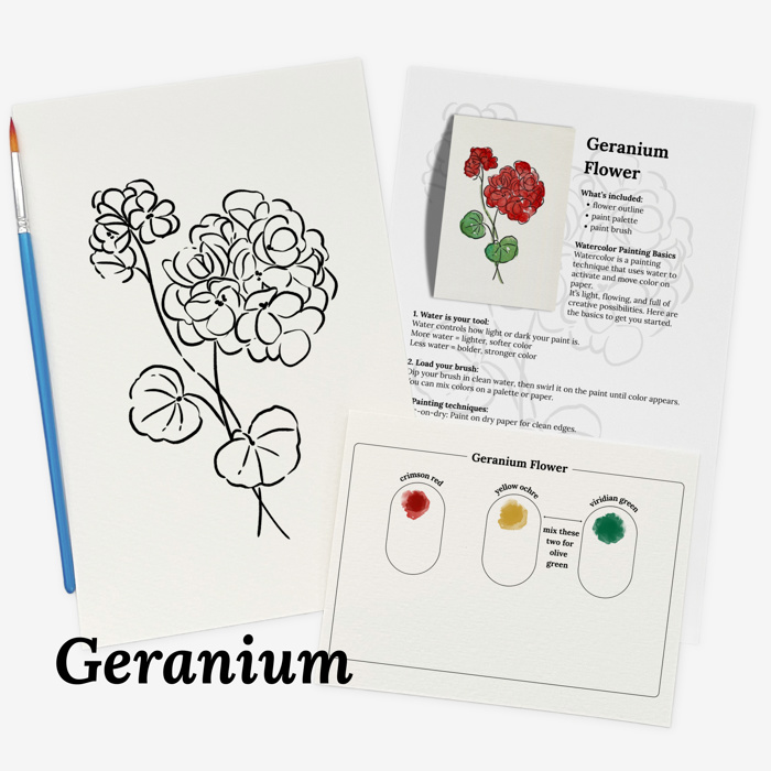 Set of 4 Watercolor Paint Kits | Floral Sketches, Brushes & Palettes | 12 Flower Options