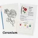  Set of 4 Watercolor Paint Kits | Floral Sketches, Brushes & Palettes | 12 Flower Options